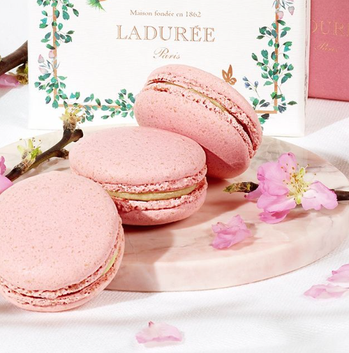Ladurée Decoration & Inspiration 本　ラデュレ Maison Ladurée - Buy Macarons Online